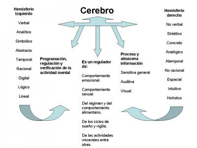 20060923150221-cebrebro.jpg